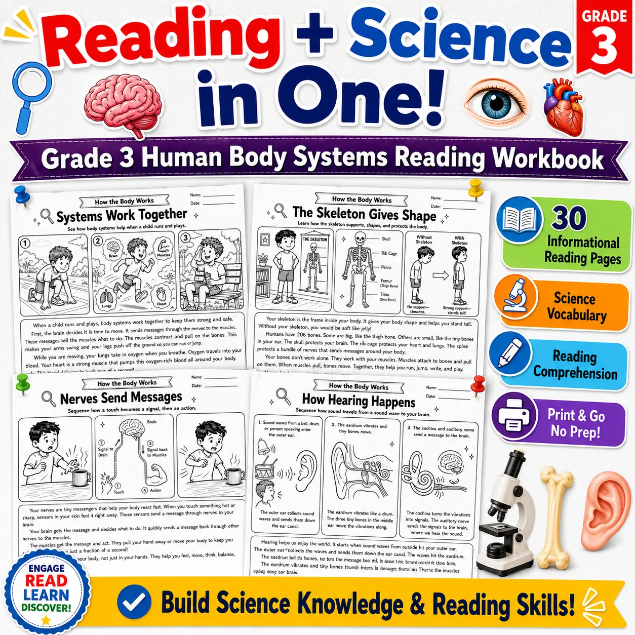 Grade 3 How the Body Works Human Body Systems Reading Workbook preview image from EdThings