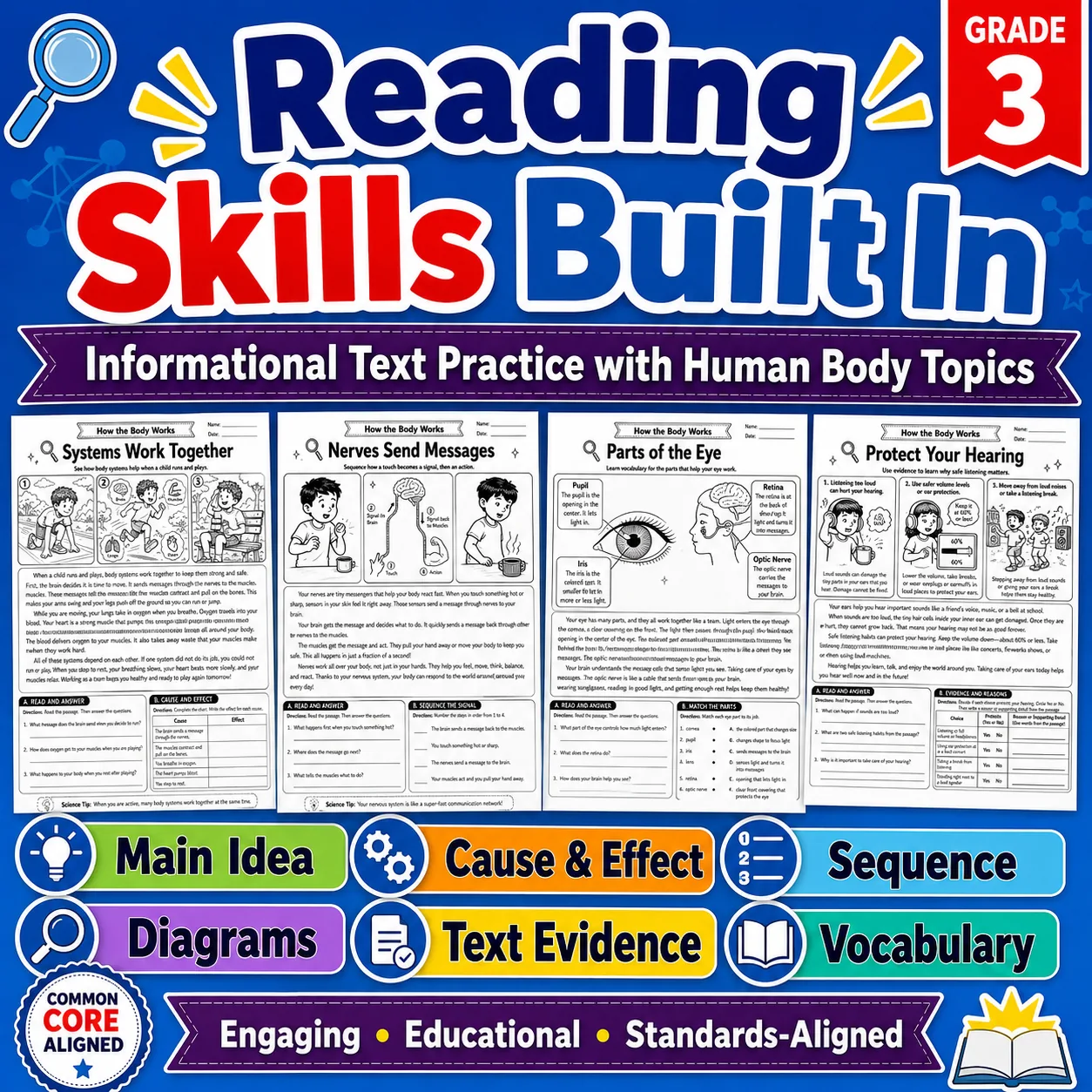 Grade 3 How the Body Works Human Body Systems Reading Workbook preview image from EdThings