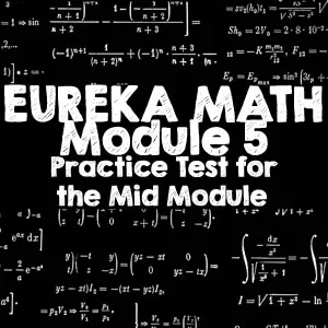MMA Practice Test Mod 5 Gr2